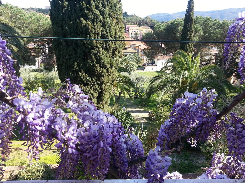 Villa San Giuseppe ปอร์โตอัซซูร์โร ภายนอก รูปภาพ